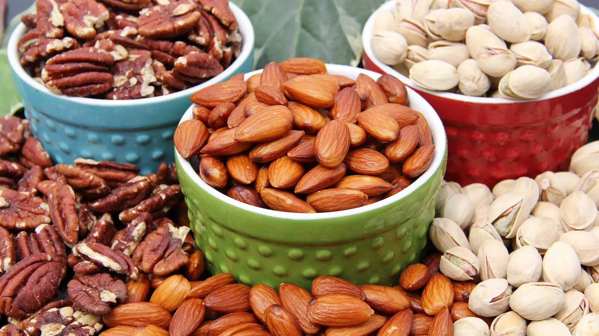 61347-Nuts-Cover