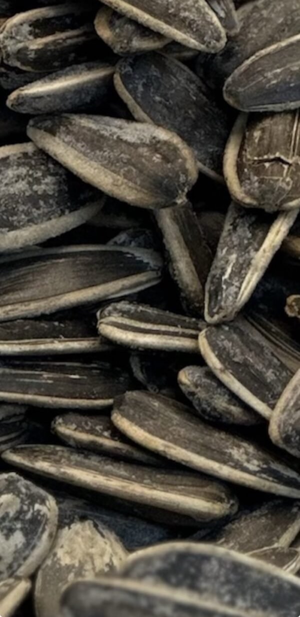 Salted Sunflower Seeds - Image 2