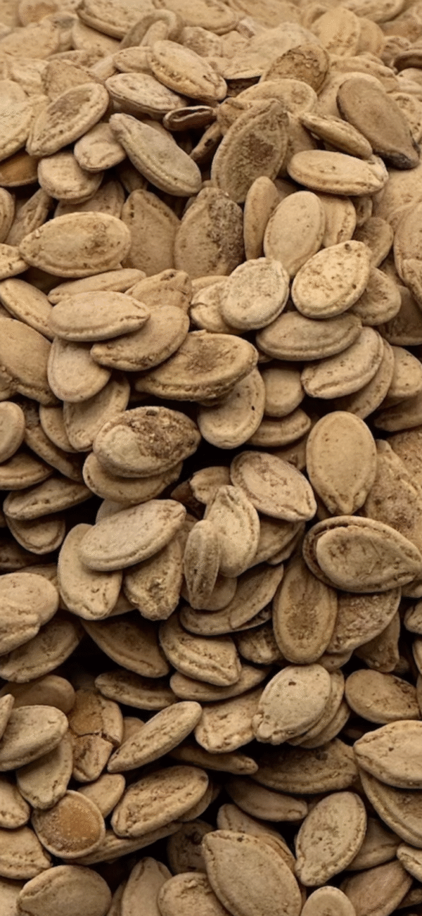 Salted Egyptian Seeds - Image 2