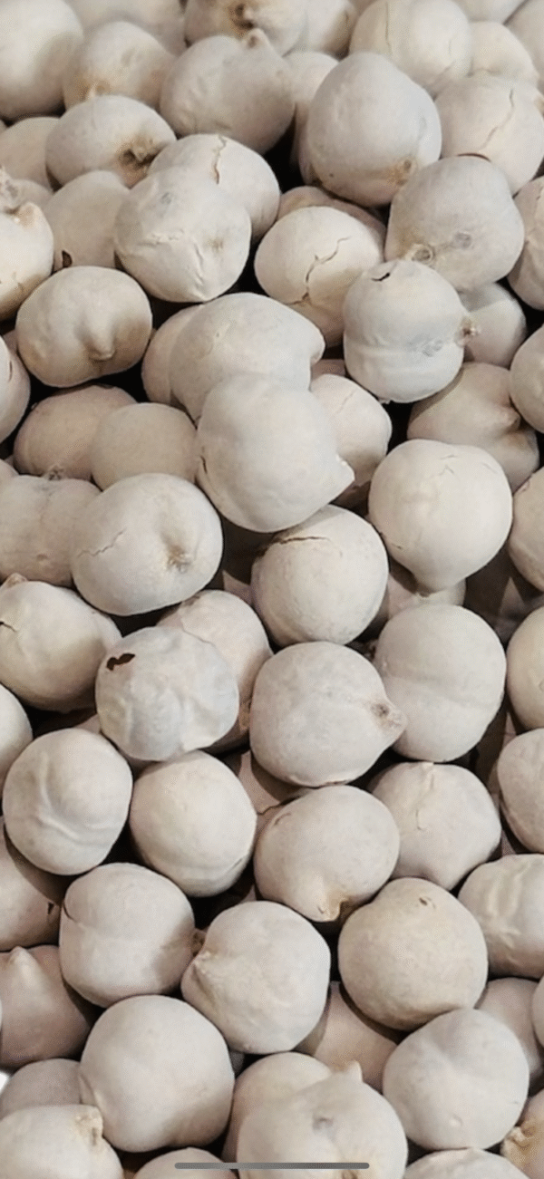 White Chickpeas - Image 2