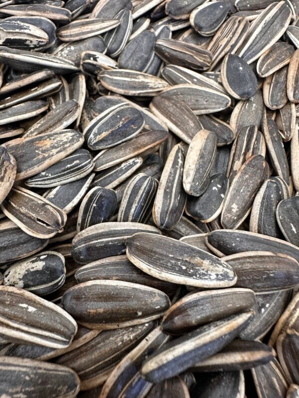 Unsalted Sunflower Seeds - Image 2