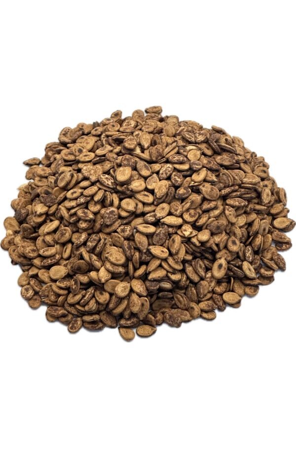 Smoked Palestinian Seeds (Abu Nugta)