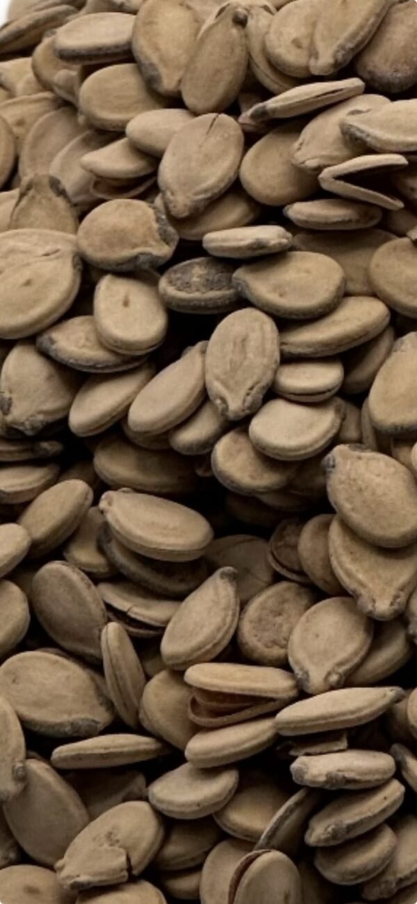 Palestinian Seeds Imbakhar - Image 2