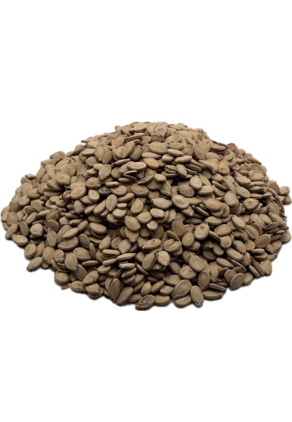 Palestinian Seeds Imbakhar