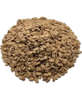 Salted Egyptian Seeds