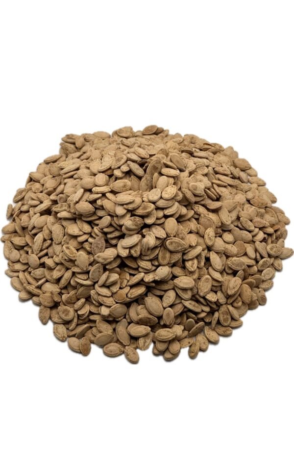 Salted Egyptian Seeds