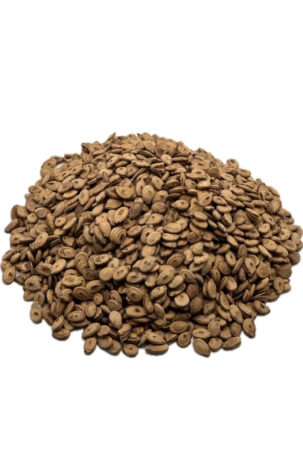 Unsalted Palestinian Seeds ( Abu Nugta)